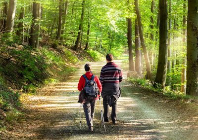 Hiking Trails
