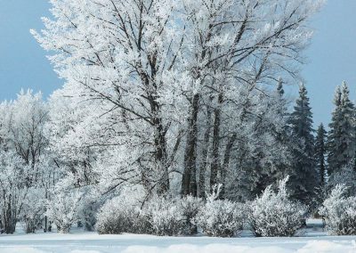 Winter Activities