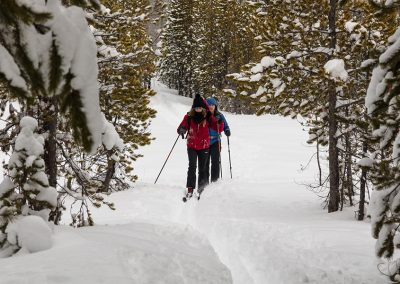 Cross Country Skiing